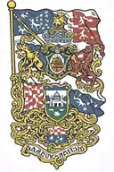 Maryland state flag waving tattoo design idea