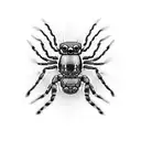 jumping spider tattoo design idea