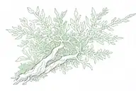 hypopterygium moss tattoo design idea