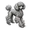dog that looks like a toy poodle tattoo design idea