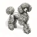 dog that looks like a toy poodle tattoo design idea