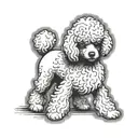 dog that looks like a toy poodle tattoo design idea