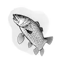 murray cod tattoo design idea