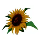 Sunflower tattoo design idea