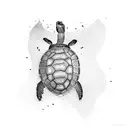 turtle tattoo design idea