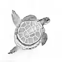 turtle tattoo design idea