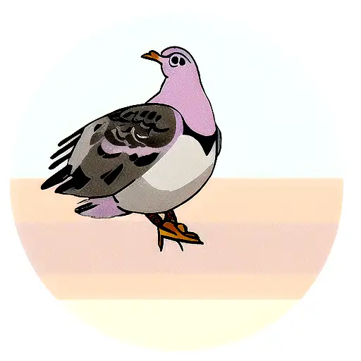 pigeon tattoo design idea