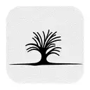 Small divi divi tree with lines under it and the year 2022 tattoo design idea