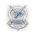 Birmingham City FC tattoo design idea