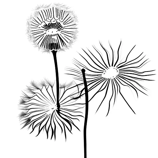 Dandelion tattoo design idea