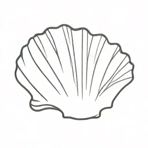 line drawing scallop shell  tattoo design idea