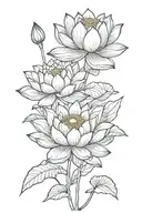 Lotus Flower   tattoo design idea