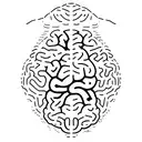 a brain outline with messy scribbles inside showing the complexity of depression and anxiety m tattoo design idea