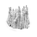 winter night scene with aspens trunks and snow  tattoo design idea