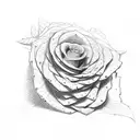 A sketch-style Greek pillar adorned with realistic wild Alberta roses climbing up its sides tattoo design idea