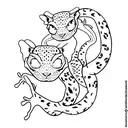 leopard gecko and crested gecko tattoo design idea