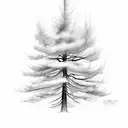 Douglas fir tree tattoo design idea