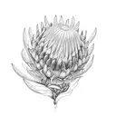 protea flower and ocean waves  tattoo design idea