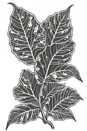 16 taro plant leaf tattoo design idea