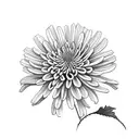 a Chrysanthemums flower with the name Rose and the date october 17 2014 in roman numerals  tattoo design idea