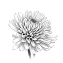 a Chrysanthemums flower with the name Rose and the date october 17 2014 in roman numerals  tattoo design idea