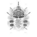 neural network tattoo design idea