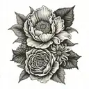Create a black and white hip tattoo with one of each of these flowers: carnation, primrose, daisy, poppy, aster and a pe tattoo design idea