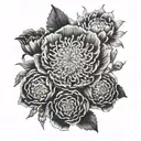 Create a black and white hip tattoo with one of each of these flowers: carnation, primrose, daisy, poppy, aster and a pe tattoo design idea