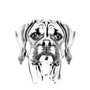 boxer dog tattoo design idea