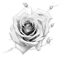 rose with blackout tattoo design idea