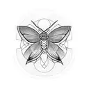 Moth tattoo design idea