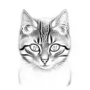 feral cat  tattoo design idea