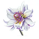 aster flower, carnation, orchid, daffodil, gladiolus, borage, wisdom tattoo design idea