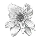 aster flower, carnation, orchid, daffodil, gladiolus, borage, wisdom tattoo design idea