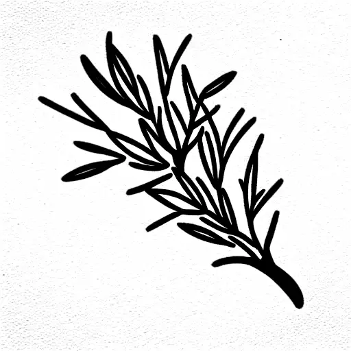 olive tree, rosemary stem tattoo design idea