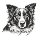 border collie portrait tattoo design idea