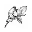 line draw snowdrop flower tattoo design idea