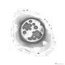 different phase of the moon tattoo design idea