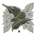 name 'Jairo' with a single leaf to the side tattoo design idea