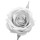 Nipple replacemt flower tattoo design idea