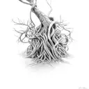 tree roots tangled and twisting, holding items of importance tattoo design idea