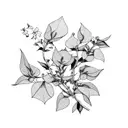 bougainvillea straight flower  tattoo design idea