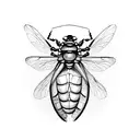 cicada tattoo design idea