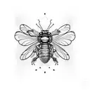 cicada tattoo design idea