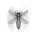 cicada tattoo design idea