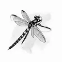 Dragonfly in water  tattoo design idea
