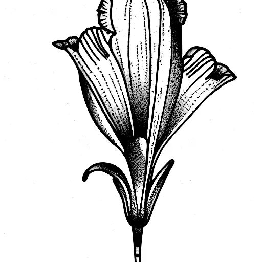 daffodil violet marigold larkspur gladiolus  tattoo design idea