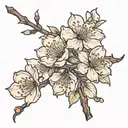 cherry blossom flowers outline tattoo design idea