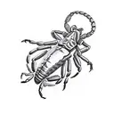 a scorpion destroying a heart tattoo design idea