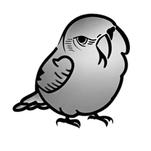 a parrot tattoo design idea